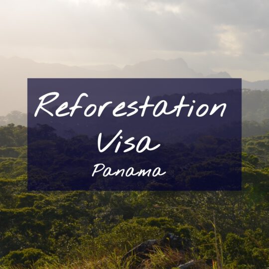 Reforestation Visa Panama
